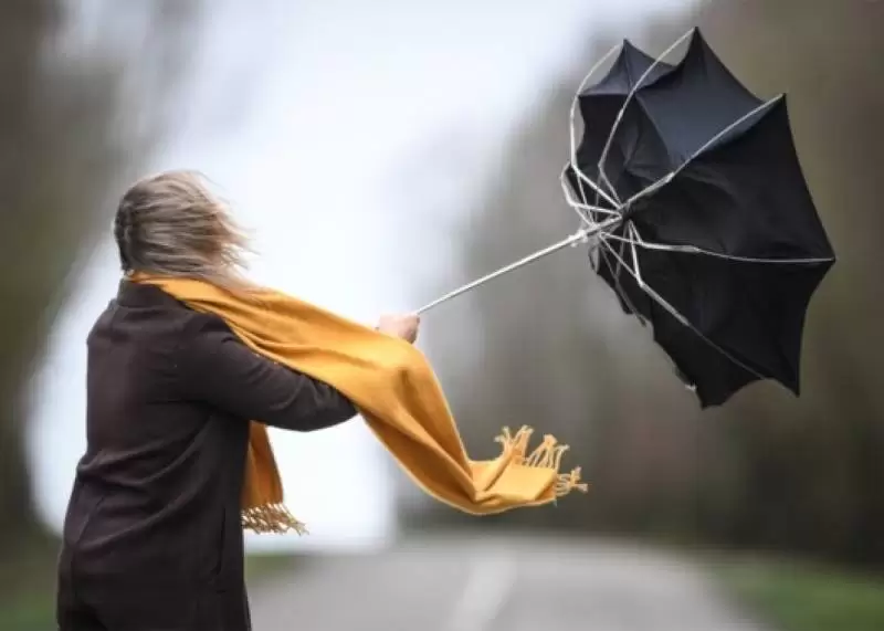 Küləkli hava şəraiti ilə bağlı sarı və narıncı xəbərdarlıq verilib