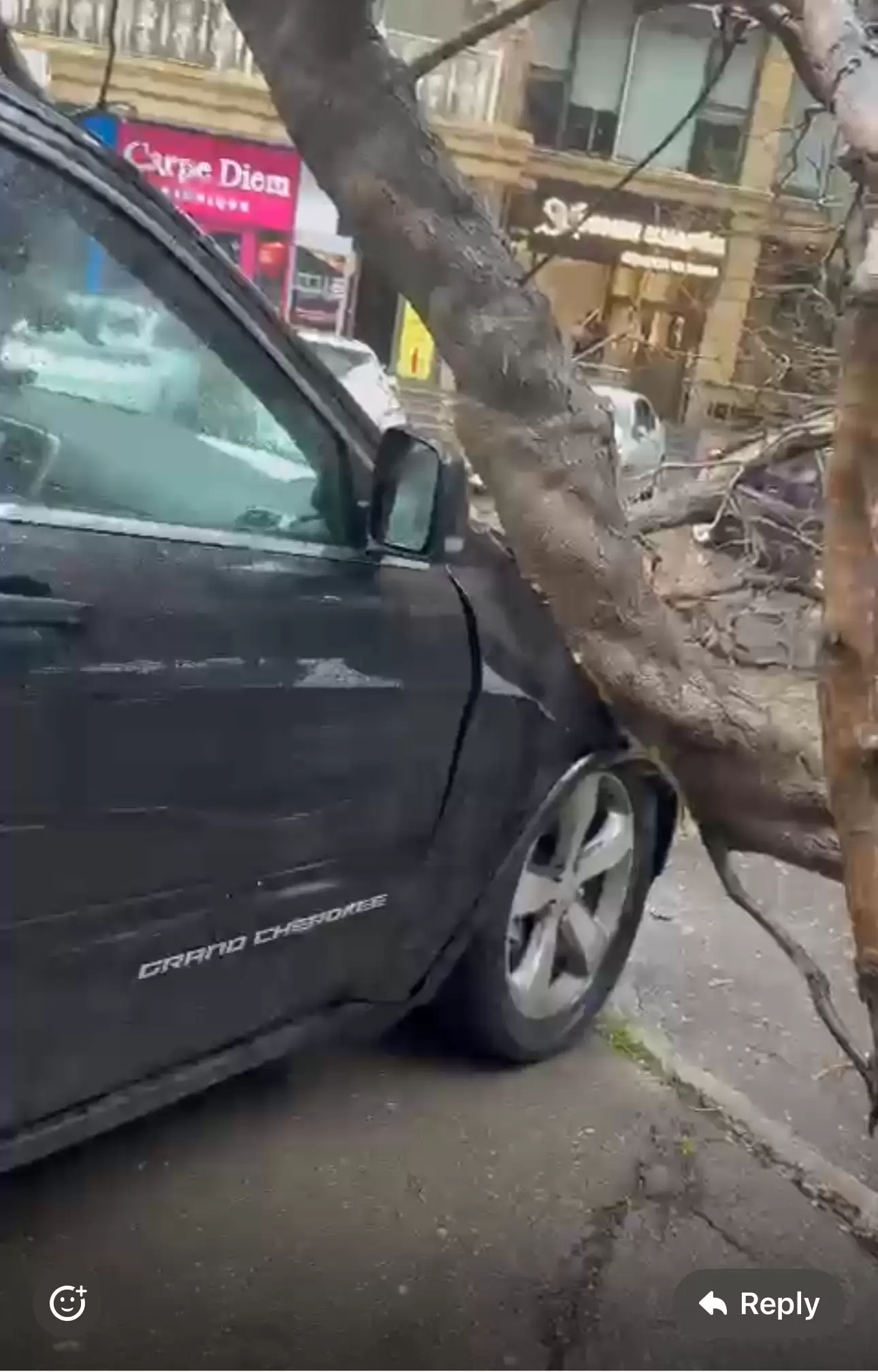 Nərimanovda ağac avtomobilin üstünə aşıb - FOTOLAR