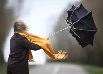 Küləkli hava şəraiti ilə bağlı sarı və narıncı xəbərdarlıq verilib