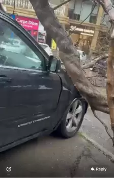 Nərimanovda ağac avtomobilin üstünə aşıb - FOTOLAR