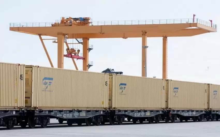 ADY bu il konteyner daşımalarını 50%-dən çox artırıb