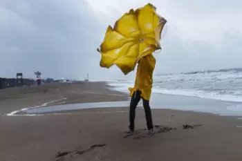 Sabah hava küləkli olacaq - SARI XƏBƏRDARLIQ