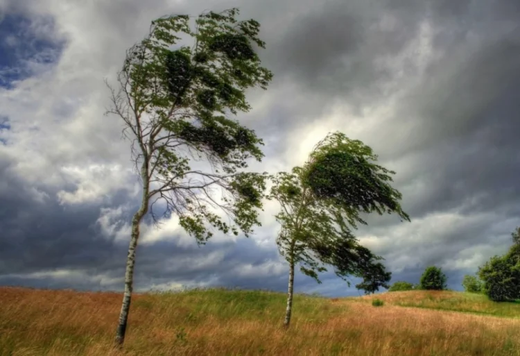 Sabah Bakıda və Abşeron yarımadasında güclü şimal-qərb küləyi əsəcək