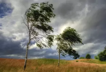 Sabah Bakıda və Abşeron yarımadasında güclü şimal-qərb küləyi əsəcək