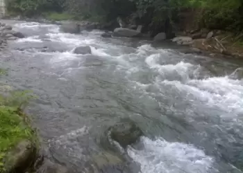 Azərbaycanda çaylardakı vəziyyət açıqlanıb